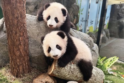 香港海洋公园门票