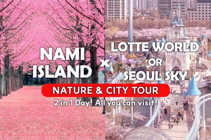 Day Tour Nami Island dan Lotte world (atau Seoul Sky) 