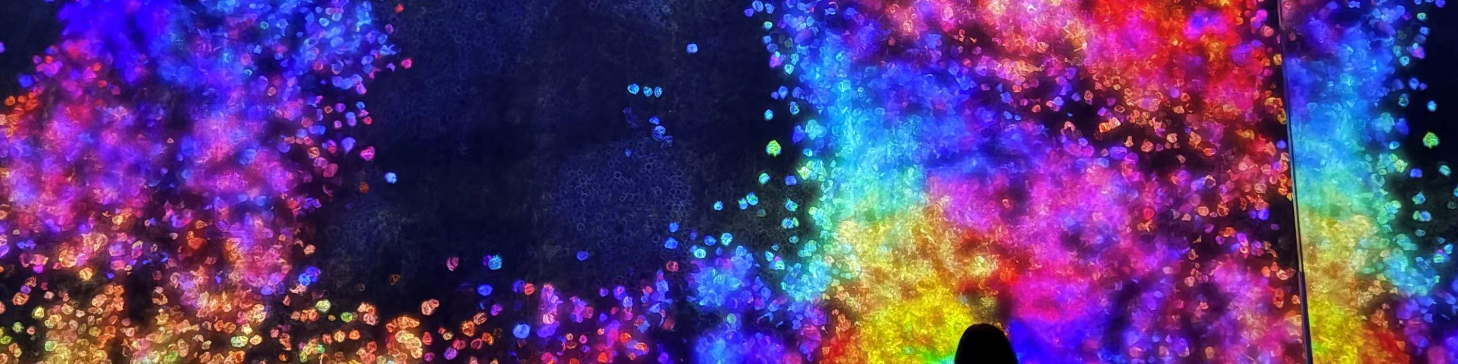 teamLab Planets TOKYO - 展覽