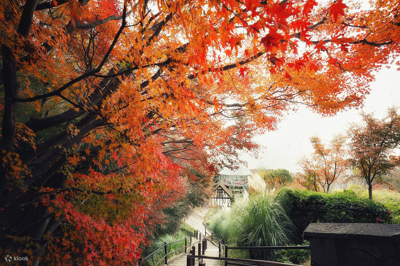 autumn