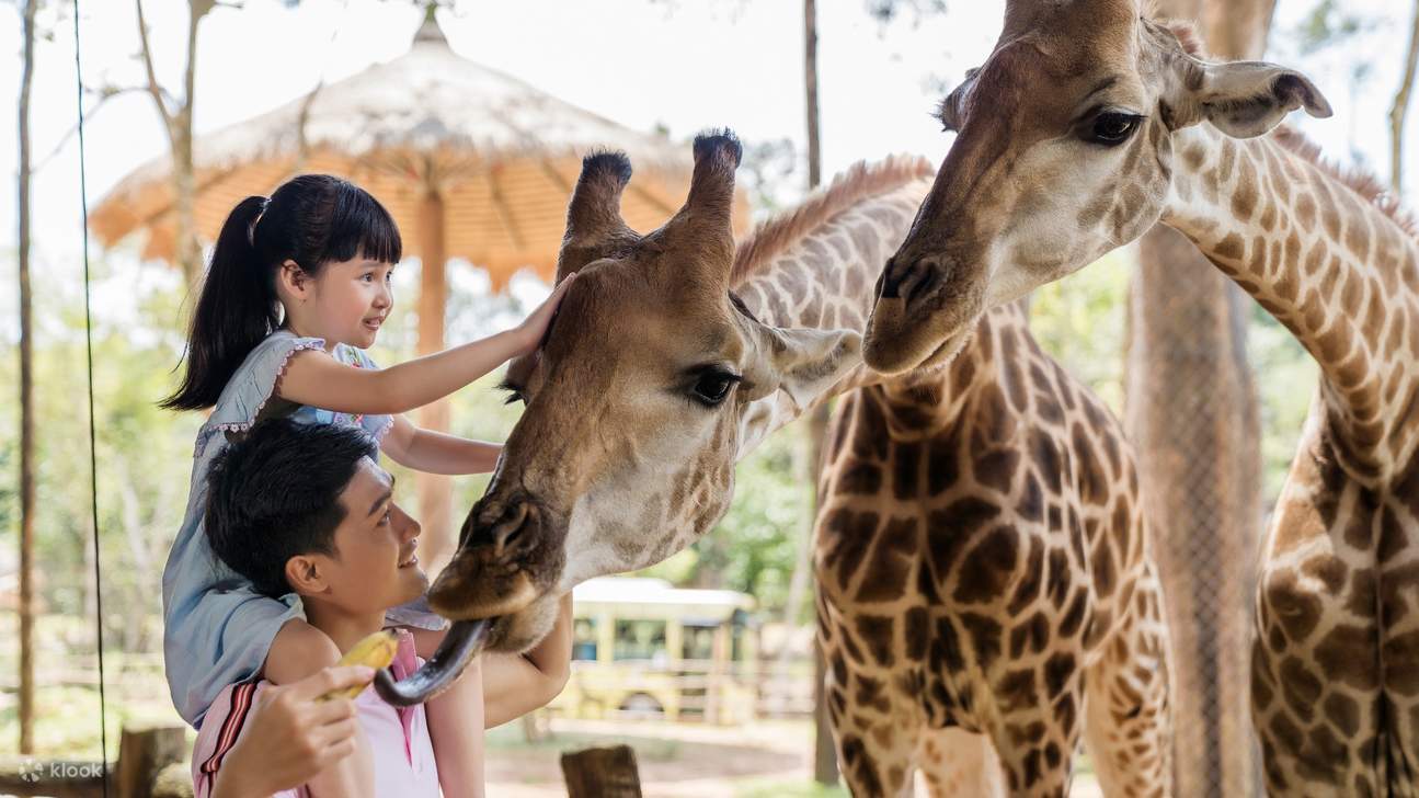 Vinpearl Safari Phu Quoc Ticket