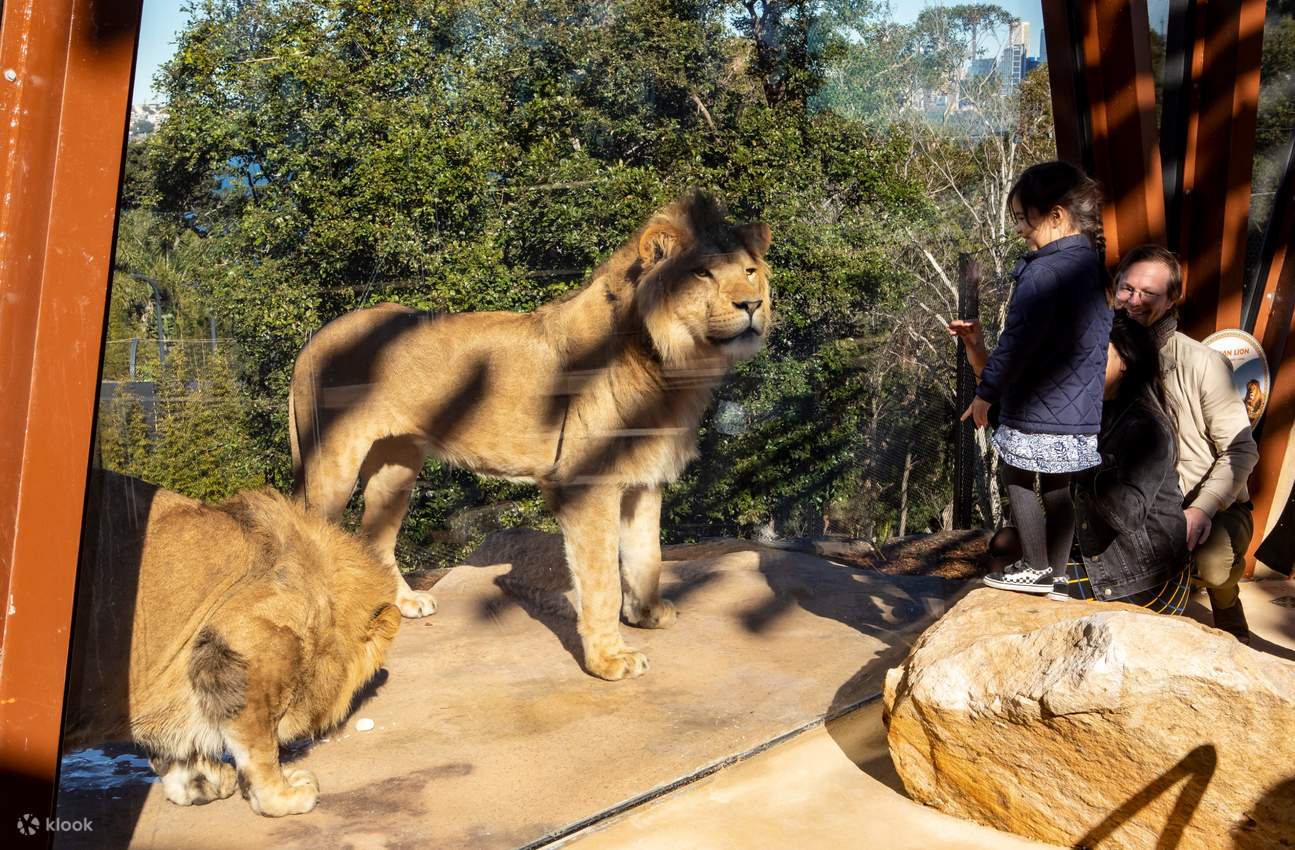 Taronga zoo photos - The African Savannah
