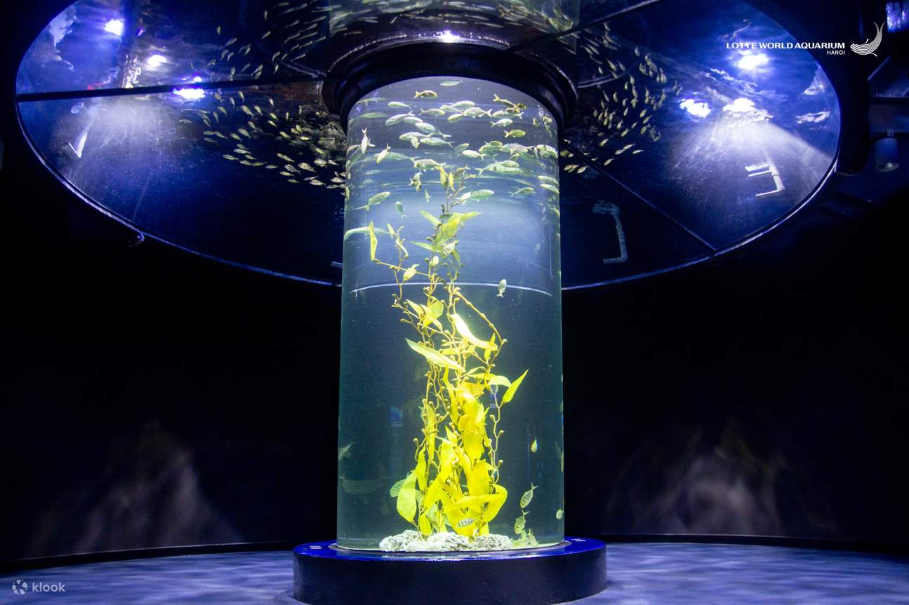 藍色海洋探索