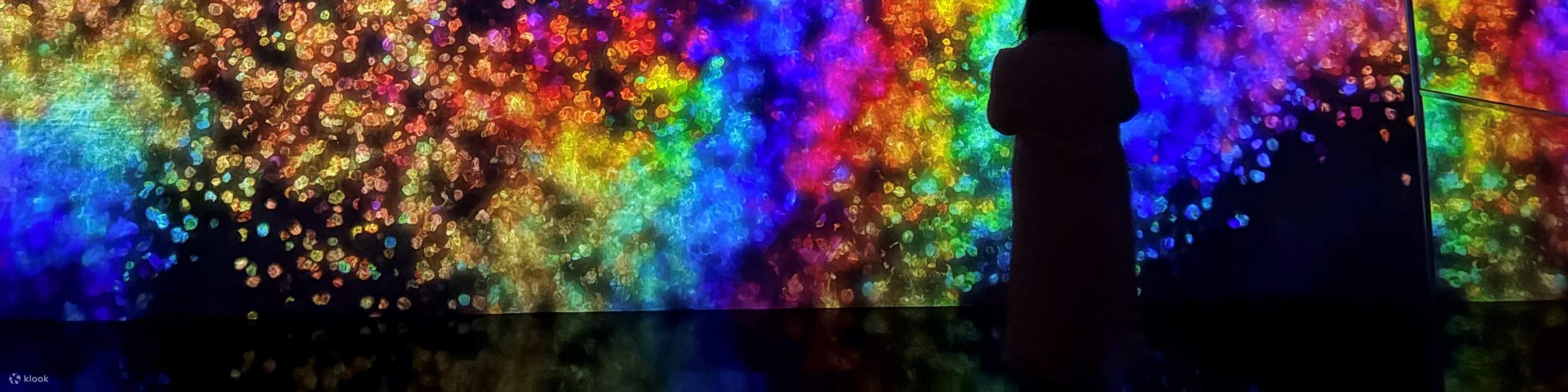 teamLab Planets TOKYO - 展覽